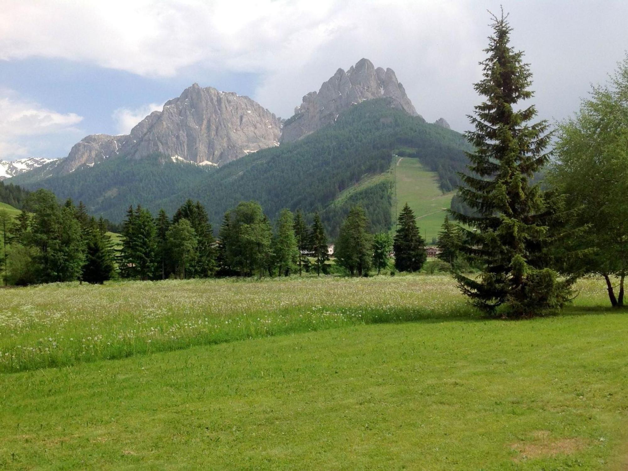 Spacious Chalet With Garden Near Ski Area In Tyrol Pozza di Fassa Buitenkant foto
